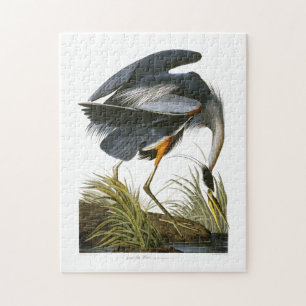 Quebra-cabeça Excelente Blue Heron, John James Audubon