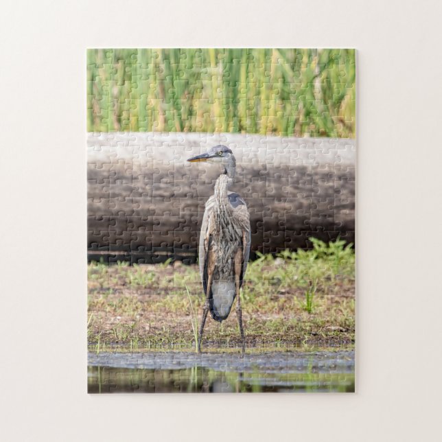 Quebra-cabeça Excelente Blue Heron no lago Champlain (Vertical)