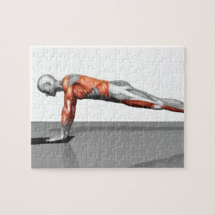 Quebra-cabeça Exercício de mosca das toalhas 3