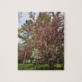 Quebra-cabeça Exibição de Beleza e Opulência