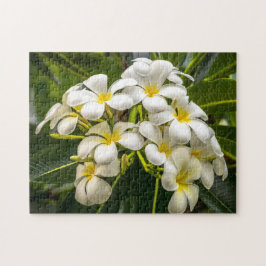 Quebra-cabeça exótico do Plumeria da ilha