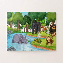 Expedição à Vida Selvagem: Floresta Encantadora