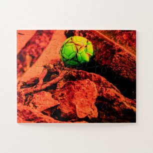 Quebra-cabeça explorador de mosquitos