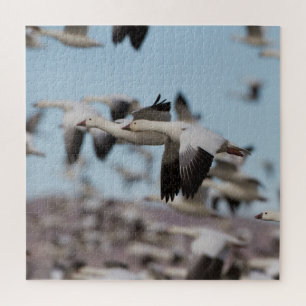 Quebra-cabeça Explosão no céu Socorro