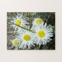 Quebra-cabeça F10 Flores Silvestres Brancas Erigerão Cespitoso