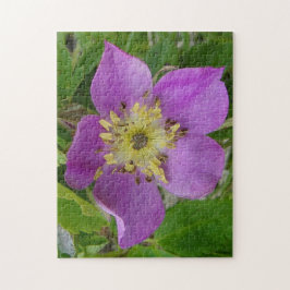 Quebra-cabeça F13 Rosa Espinhosa Rosa Selvagem de Alberta