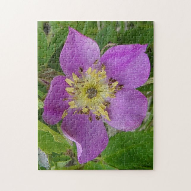 Quebra-cabeça F13 Rosa Espinhosa Rosa Selvagem de Alberta (Vertical)