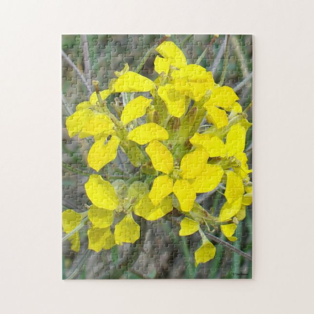 Quebra-cabeça F14 Pequenas Flores Selvagens Amarelas (Vertical)