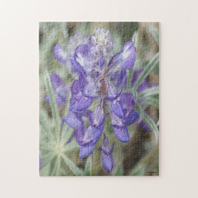 Quebra-cabeça F18 Flores Selvagens Roxas Lupina Anual (Vertical)