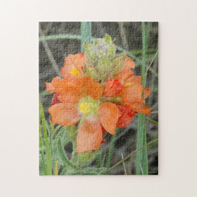 Quebra-cabeça F40 Flores Silvestres Laranja Malva Escarlate (Vertical)