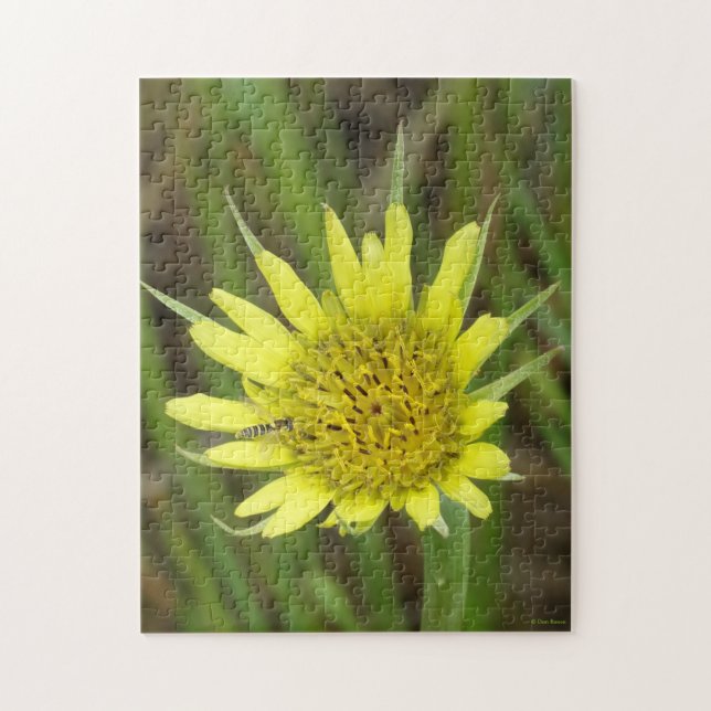 Quebra-cabeça F41 Barba Amarela de Gordura (Vertical)