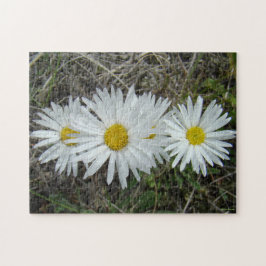 Quebra-cabeça F42 Flores Silvestres Brancas Aster Suave