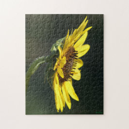 Quebra-cabeça F43 Susan Amarelo de flor selvagem de olhos pretos