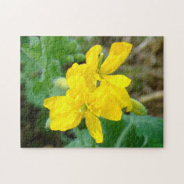Quebra-cabeça F44 Flores silvestres amarelas Mostarda selvagem