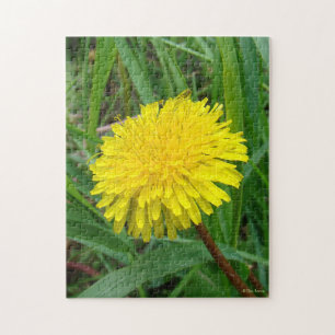 Quebra-cabeça F45 Dente-de-leão "Taraxacum officinale"