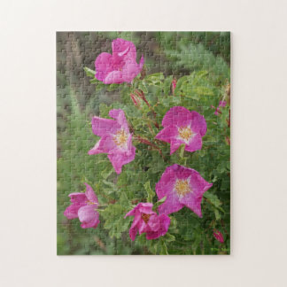 Quebra-cabeça F46 Rosas Silvestres