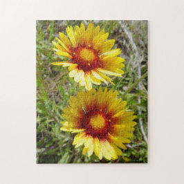 Quebra-cabeça F8 Amarelas Flores Silvestres Gaillardia