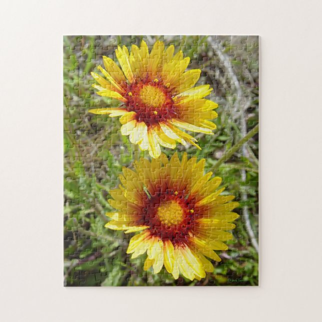 Quebra-cabeça F8 Amarelas Flores Silvestres Gaillardia (Vertical)