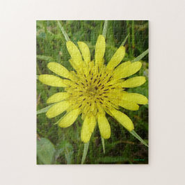 Quebra-cabeça F9 Barba Amarela de Gordura