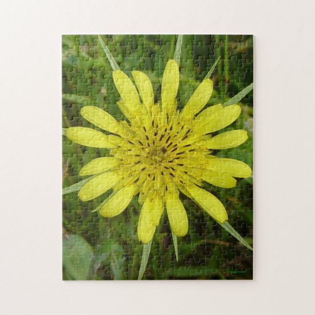 Quebra-cabeça F9 Barba Amarela de Gordura (Vertical)