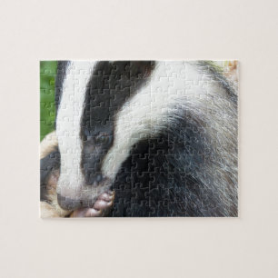 Quebra-cabeça Face de Badger Europeia