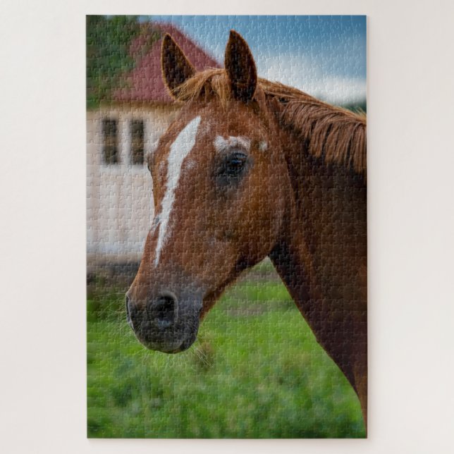 Quebra-cabeça Face de cavalo (Vertical)
