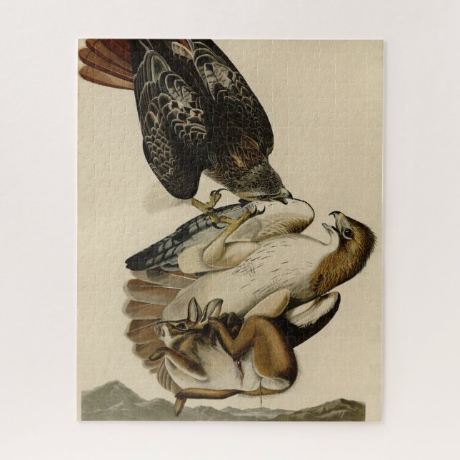 Quebra-cabeça Falcão de cauda vermelha das aves da América de Au (Vertical)