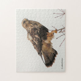 Quebra-cabeça Falcão de pernas grossas na árvore