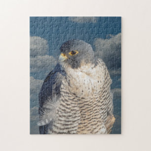 Quebra-cabeça Falcão Peregrine ao longo do rio Hudson