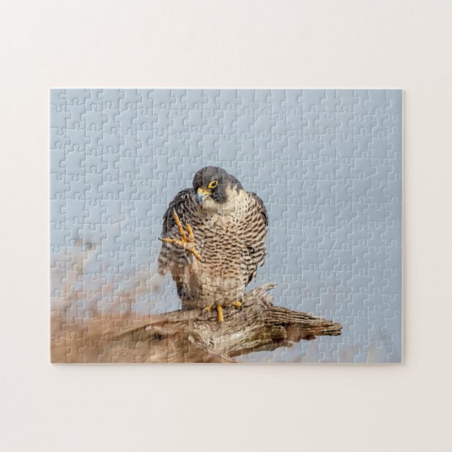 Quebra-cabeça Falcão Peregrine ao longo do rio Hudson (Horizontal)