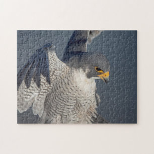 Quebra-cabeça Falcão Peregrine ao longo do rio Hudson