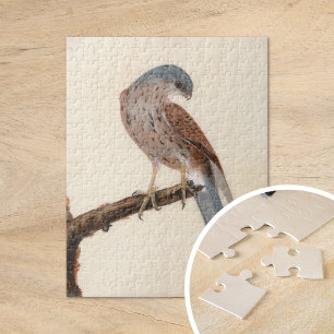 Quebra-cabeça Falcon Hen Kestrel William Lewin
