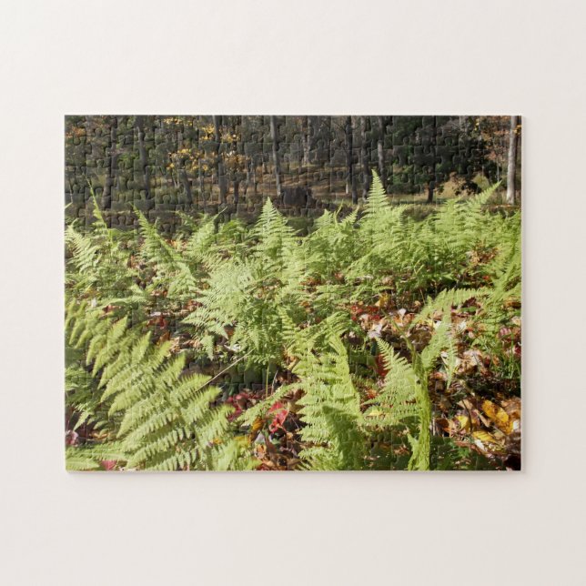 Quebra-cabeça Fall Ferns (Horizontal)