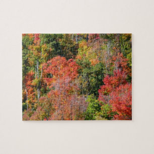 Quebra-cabeça Fall Hillside Colorter Autumn Nature Fotografia
