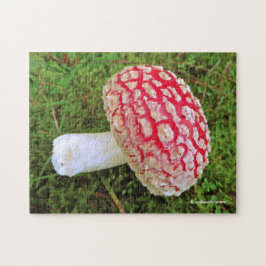 Quebra-cabeça Fallen Fly Agaric / Amanita Muscaria Red Mushroom