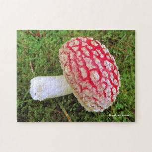 Quebra-cabeça Fallen Fly Agaric / Amanita Muscaria Red Mushroom