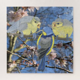 Quebra-cabeça Família Blue Chickadee entre o Flor de Amêndoa