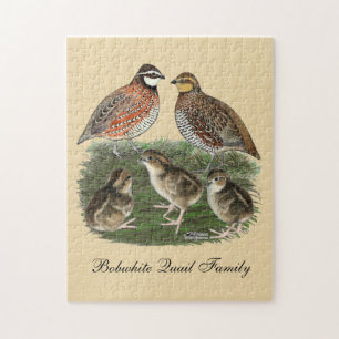 Quebra-cabeça Família Bobwhite Quail