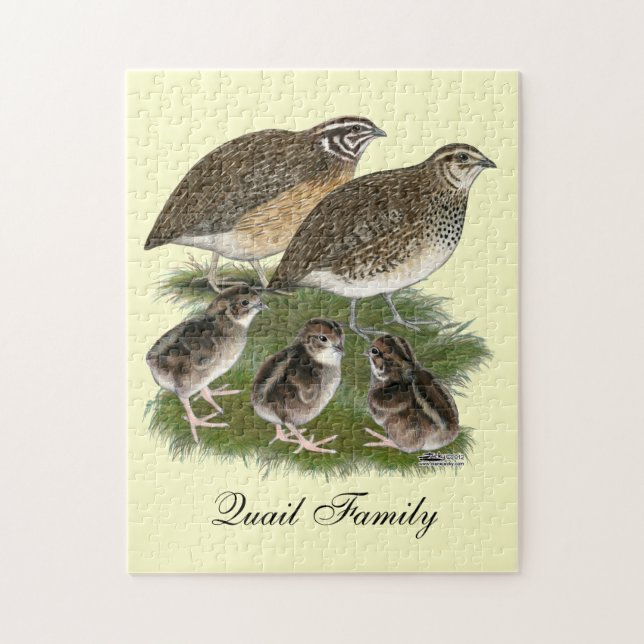 Quebra-cabeça Família de Codorniz Coturnix (Vertical)