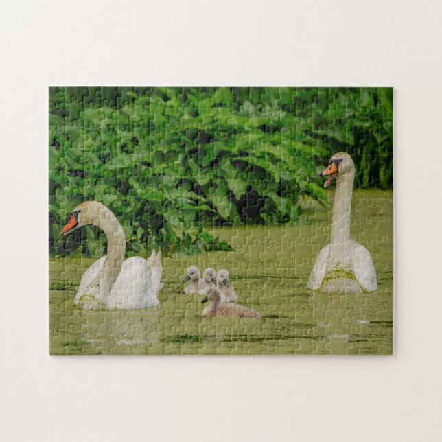 Quebra-cabeça Família Swan (Horizontal)