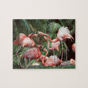 Quebra-cabeça Família Tropical Rosa Flamingos Silenciosa Diversã