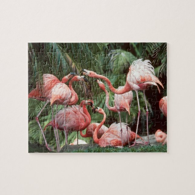 Quebra-cabeça Família Tropical Rosa Flamingos Silenciosa Diversã (Horizontal)