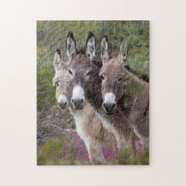 Quebra-cabeça Família Wild Burro