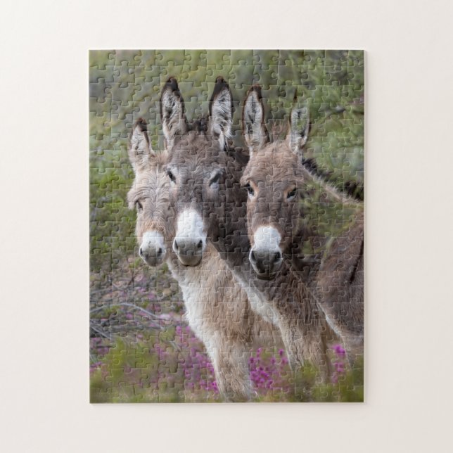 Quebra-cabeça Família Wild Burro (Vertical)