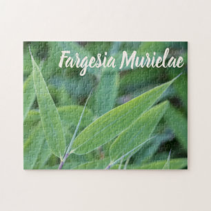 Quebra-cabeça Fargesia murielae Bamboo para presente de jardinei