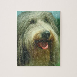 Quebra-cabeça farpado do cão do Collie