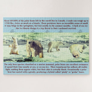 Quebra-cabeça Fatos de diversão do urso polar 20"x30" - 1.014 pe