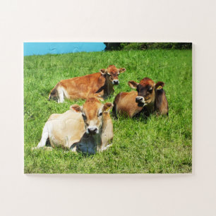 Quebra-cabeça fazenda de vacas de Jersey