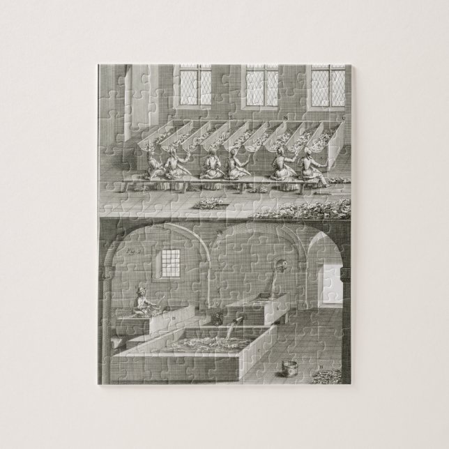 Quebra-cabeça Fazer de papel, 'das ciências do DES de (Vertical)