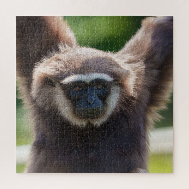 Quebra-cabeça Fechamento de um Gibbon Manipulador (Vertical)